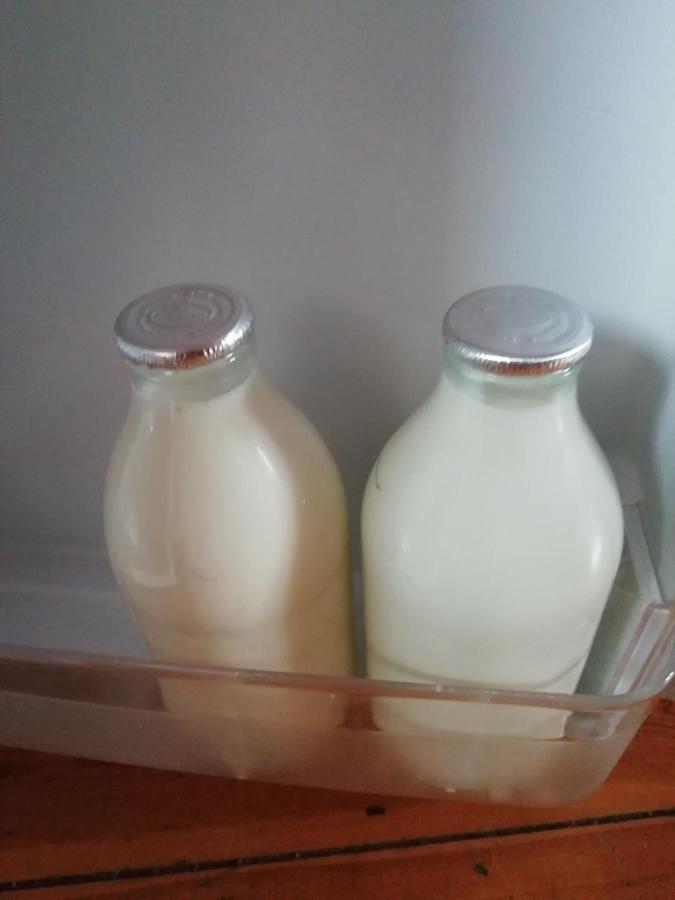 Pantasaph Farm B&B 홀리웰 외부 사진